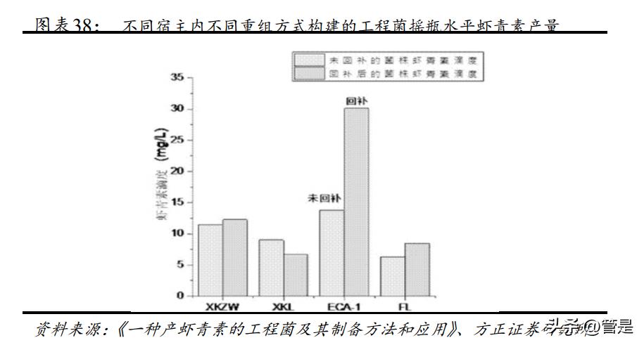 金城医药研究报告:医化平台稳步发展,合成生物平台迎新机