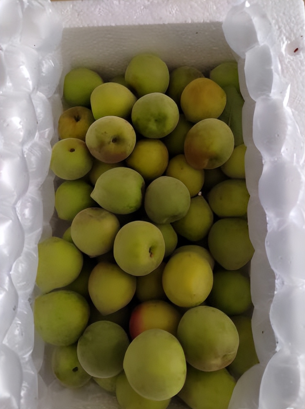 青梅酒怎么泡酒最好,青梅酒的青梅可以二次泡酒吗