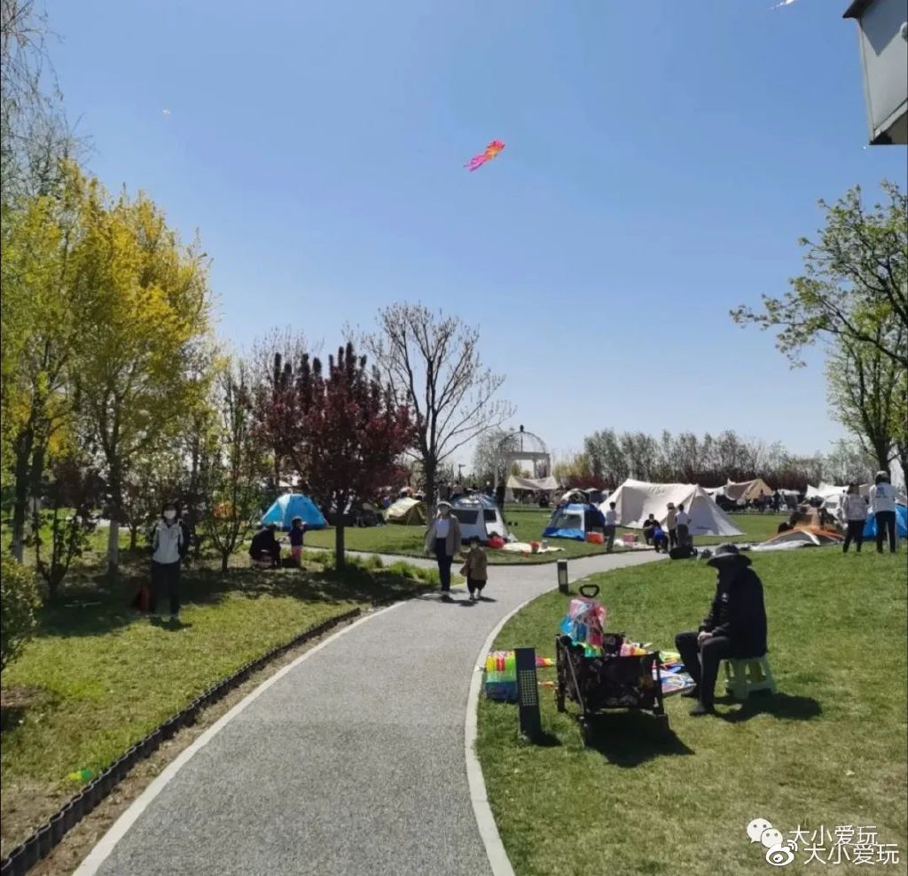 带娃赶海地点推荐去哪里,带孩子海边赶海3日游攻略