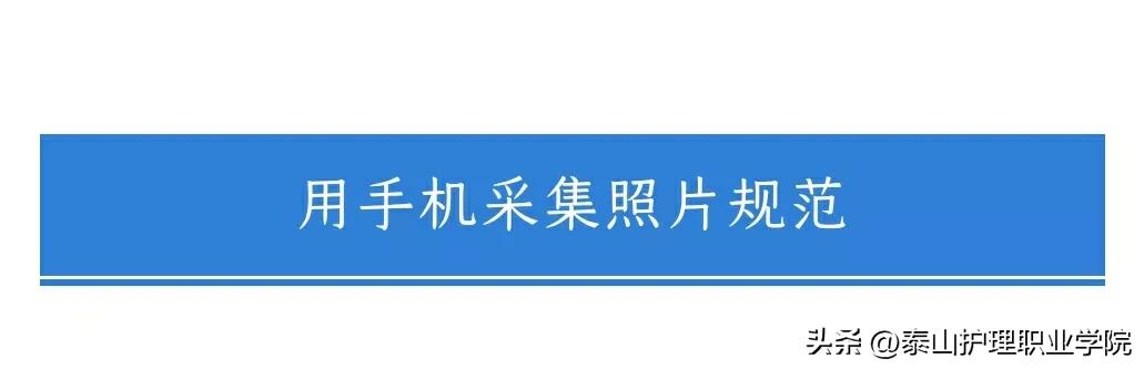 山东省2023年普通高考网上报名,山东省2023年高考选科要求