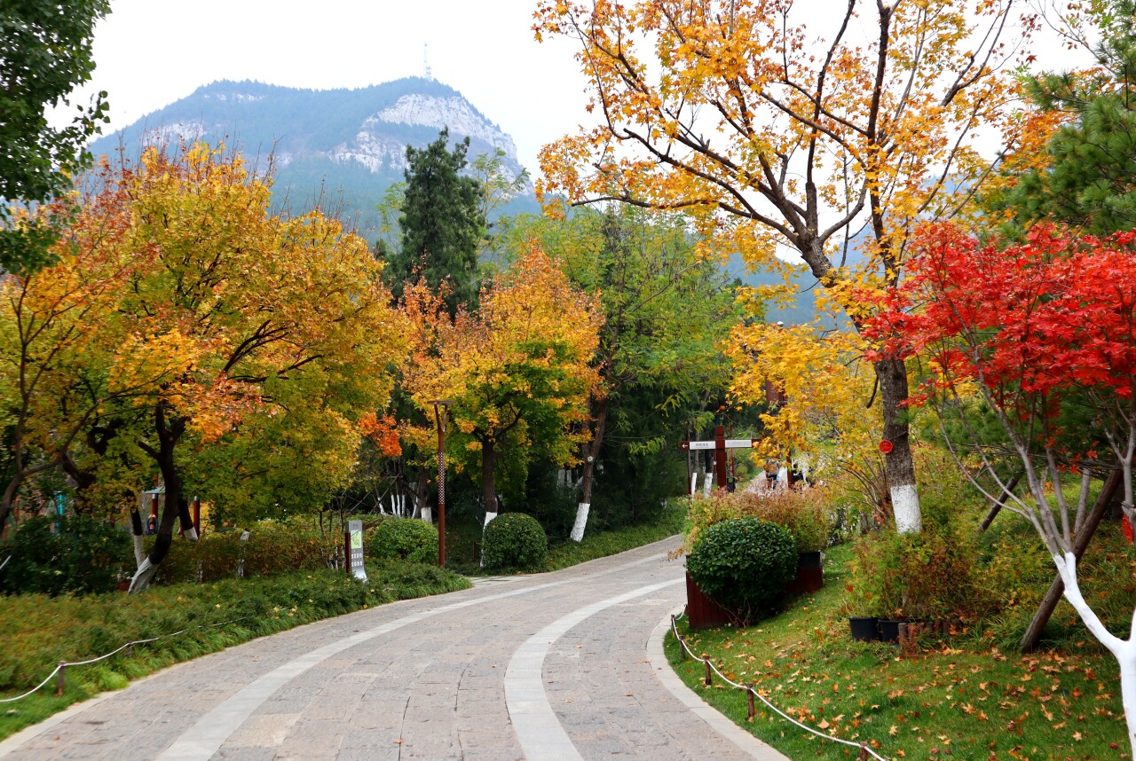 济南必打卡之地金秋时节,济南冬季打卡旅游胜地