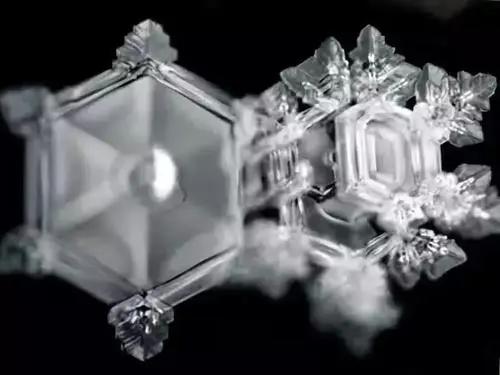 日本高科技收割机,被智商收割