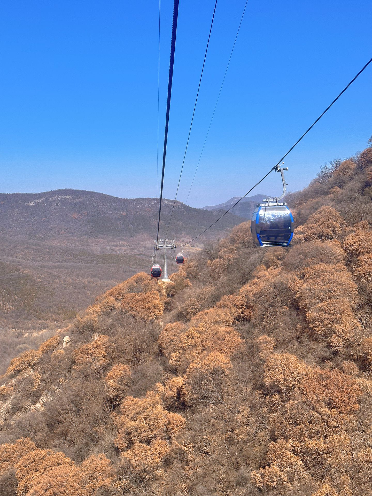 郑州值得去的10个景点,郑州最值得去的几个景点