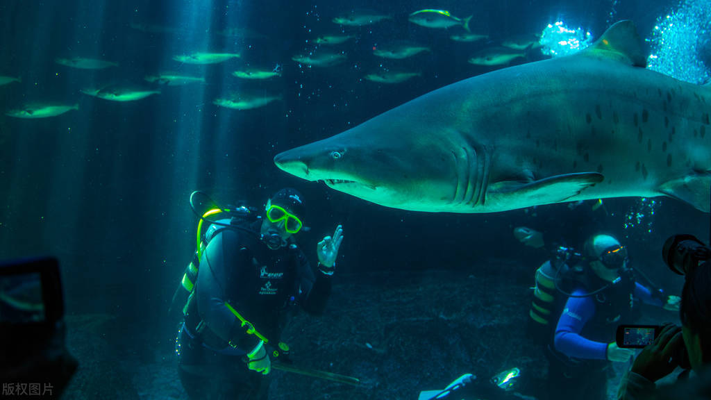七年级下册语文海底两万里预习,初中语文暑假预习海底两万里精读