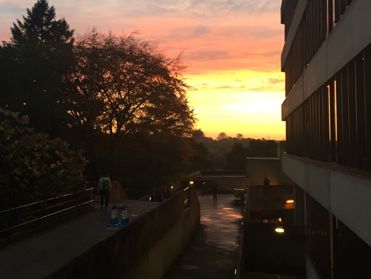 英国东英吉利大学简介,东英吉利大学专业