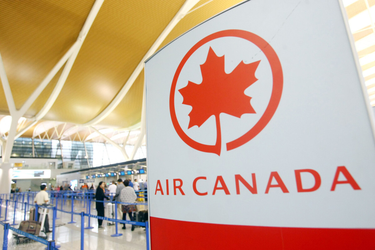 加拿大鹅原来有什么事,加拿大鹅事件最后结果