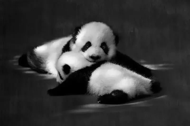 幽默爆笑笑话100个搞笑段子,幽默笑话搞笑段子100篇