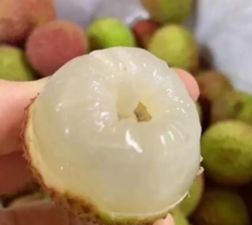 广东湛江一年四季水果名单,湛江特色水果介绍