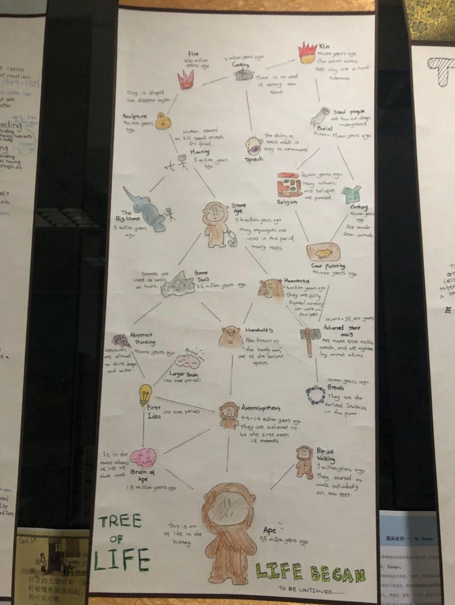 上海协和小学为什么招生那么少,上海闵行区协和小学