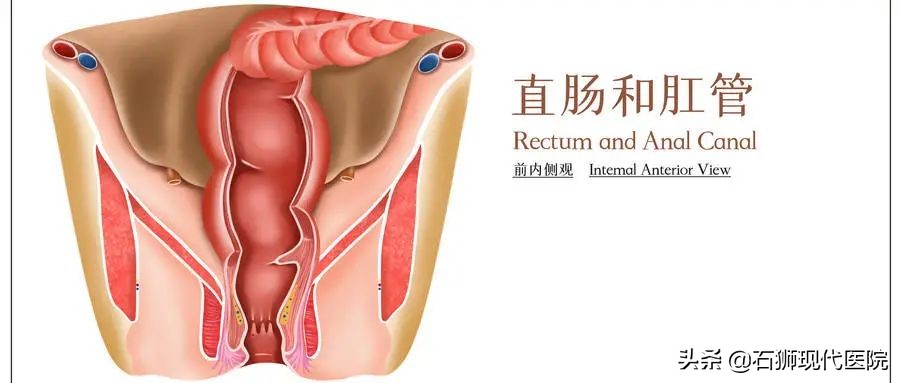 肛瘘术后怎样预防假性愈合,怎么预防肛瘘和肛周脓肿