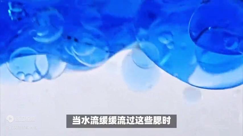 螃蟹常识大全及图片,生活小妙招螃蟹处理方法