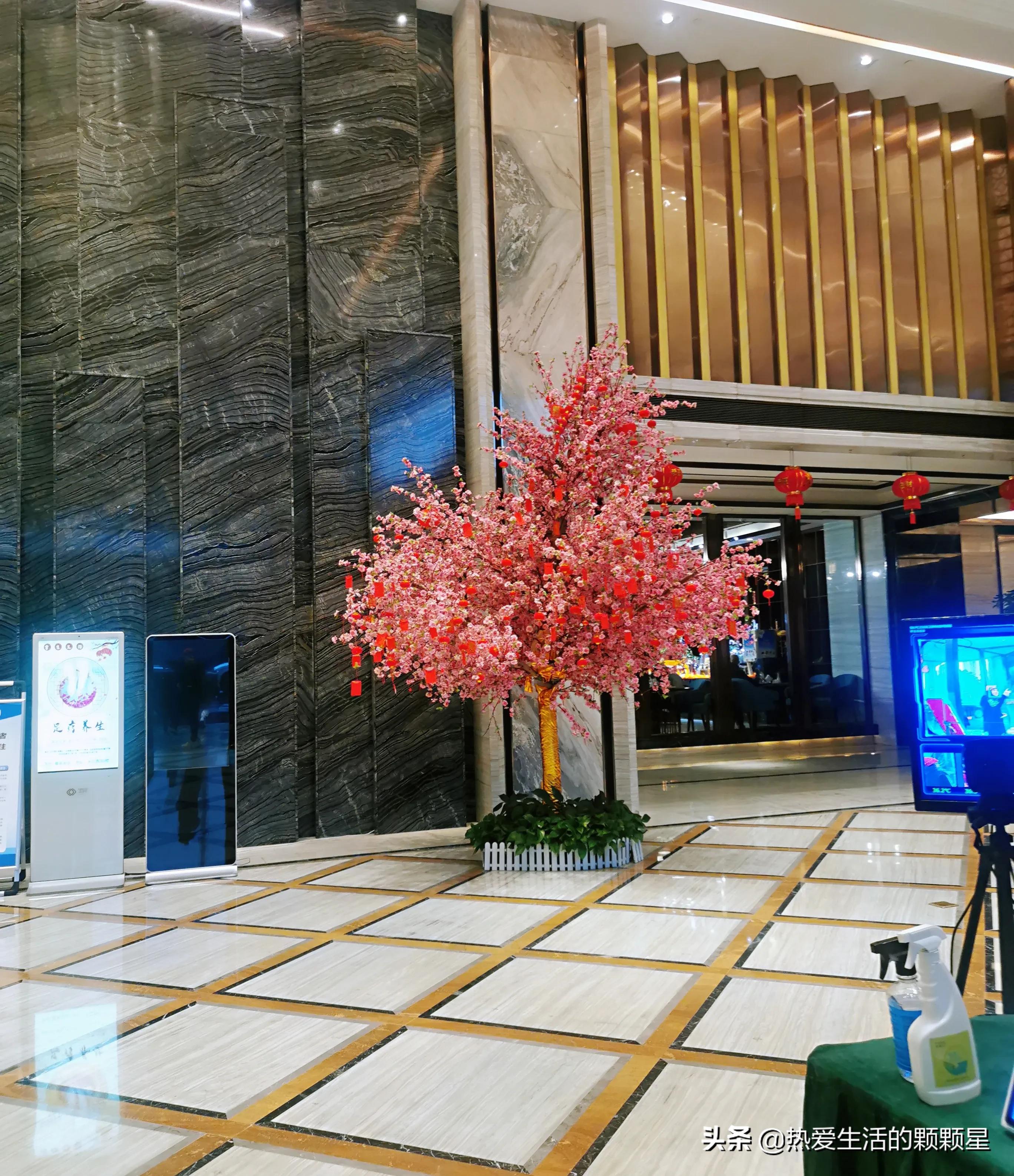 株洲天伦瑞玺国际酒店是几星级,株洲市天伦瑞玺国际酒店