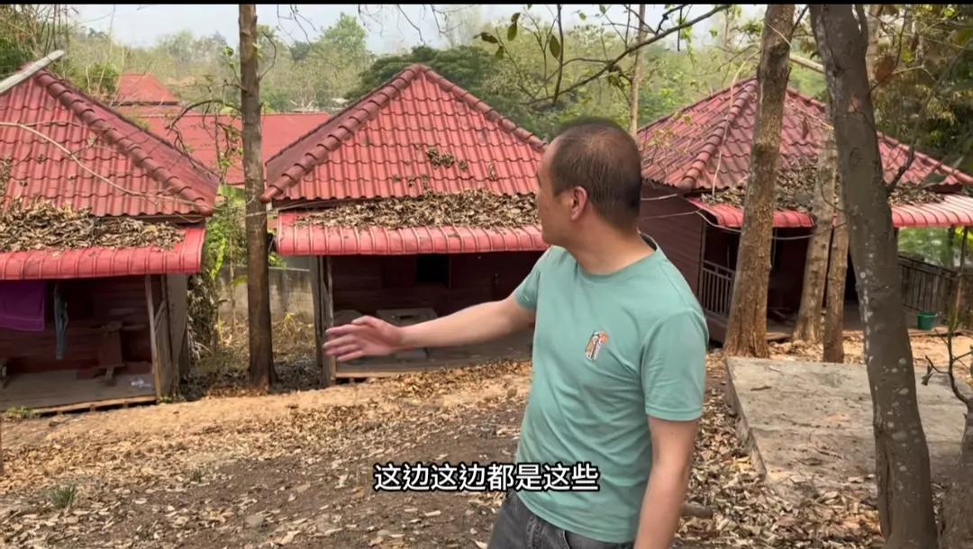 湖南邵东男人在老挝找媳妇,湖南小伙在老挝讨媳妇