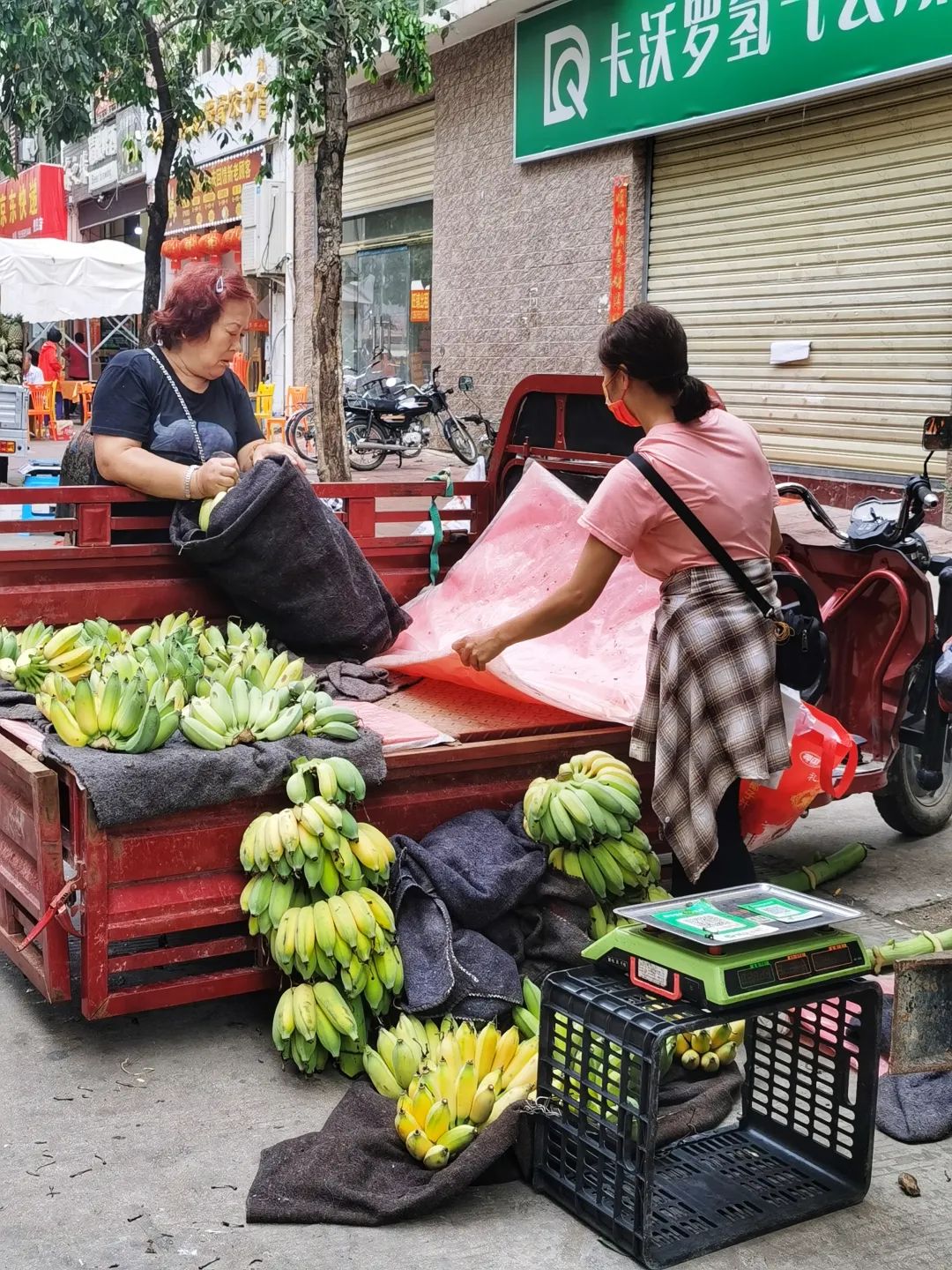 旅居海南陵水,旅居海南掠影