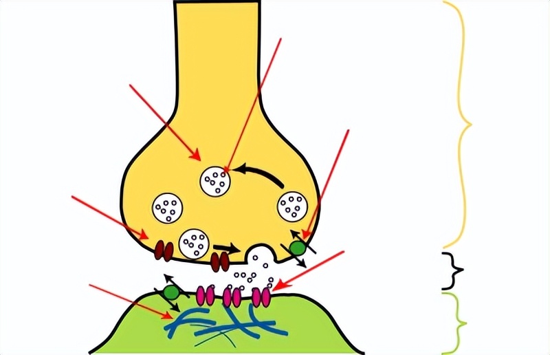 中医如何治疗儿童抽动症,抽动症中医推拿针刺治疗
