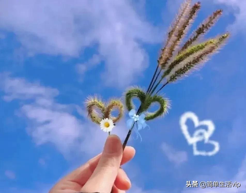 分享生活的方式和方法,分享生活日常怎么赚钱