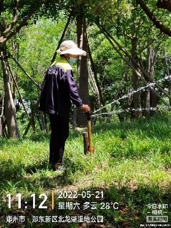 12月份园林绿化养护工作重点,元月份园林养护重点工作