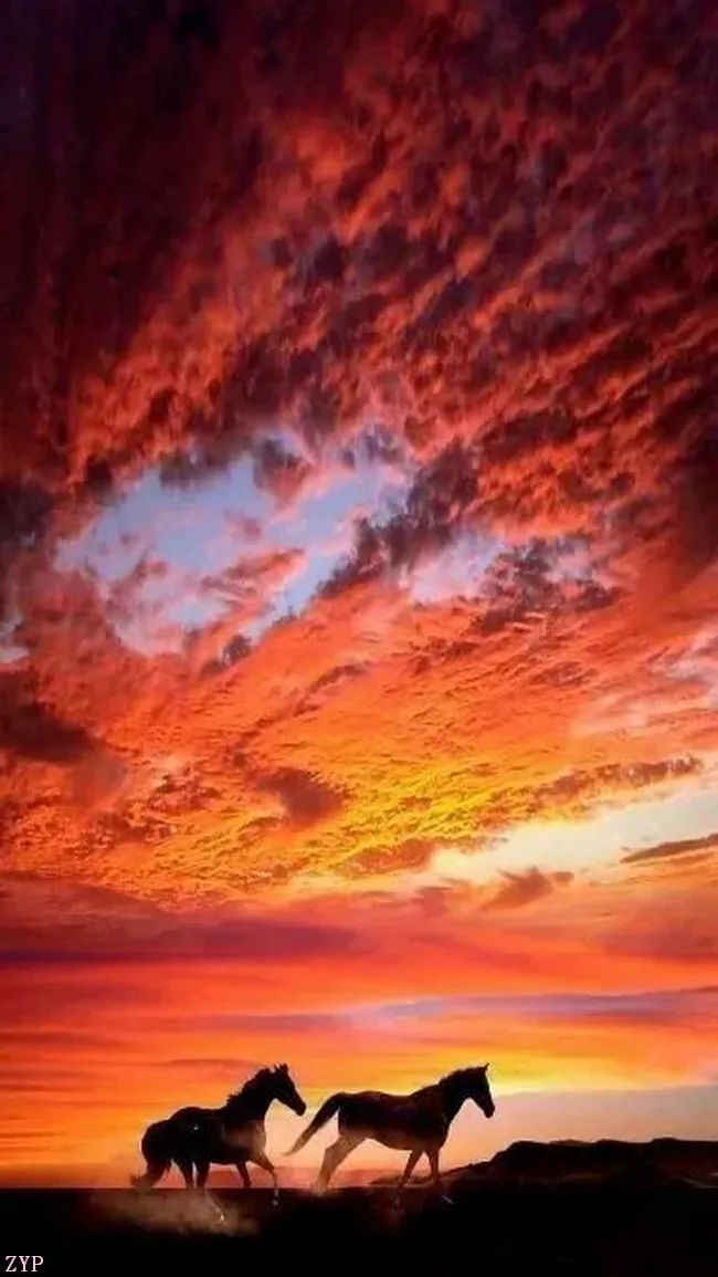 太美了100个世界级美景,全球100张绝世美景