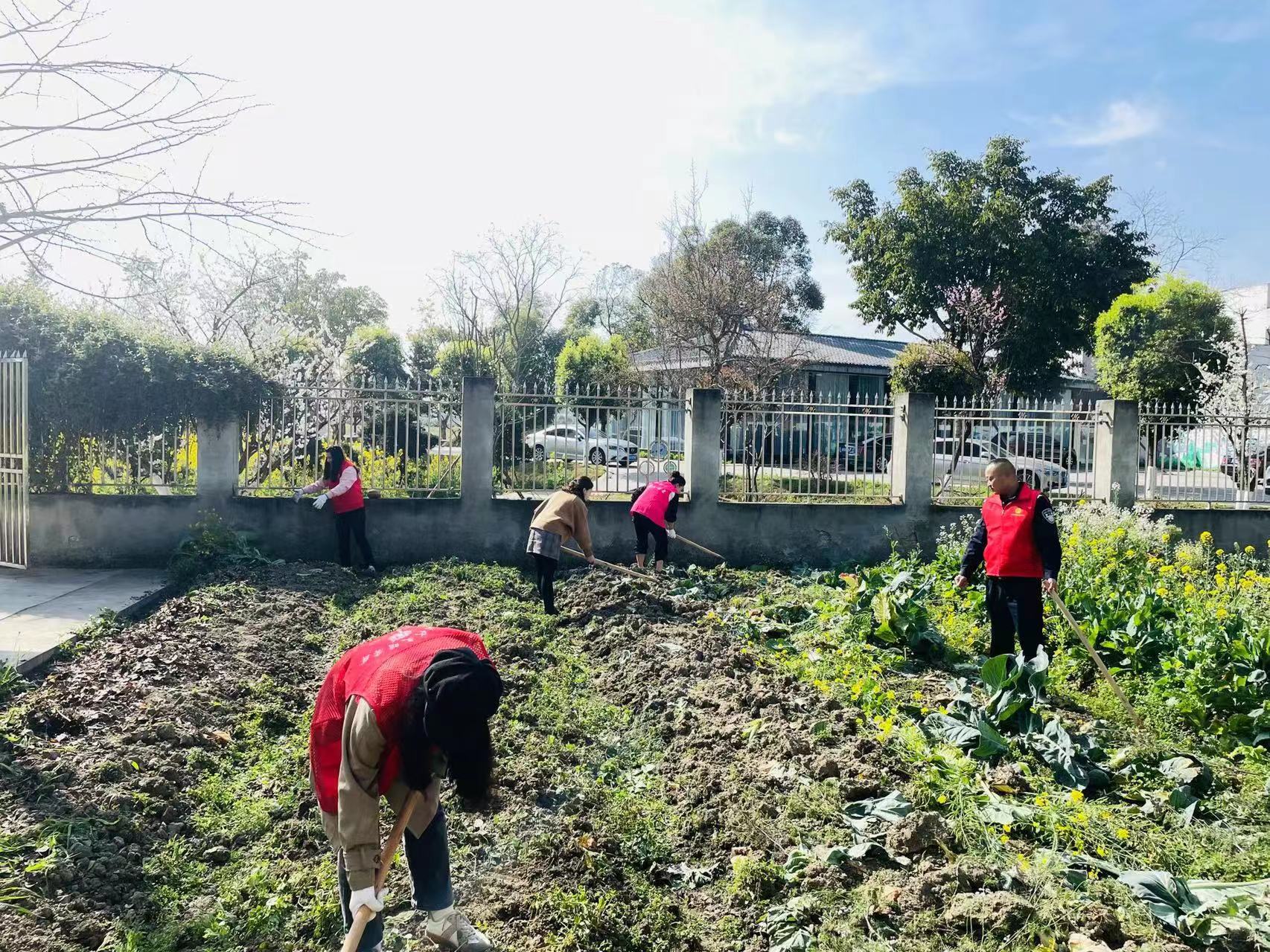 【靖心选调生日记】转变角色深入基层扎实提升工作能力