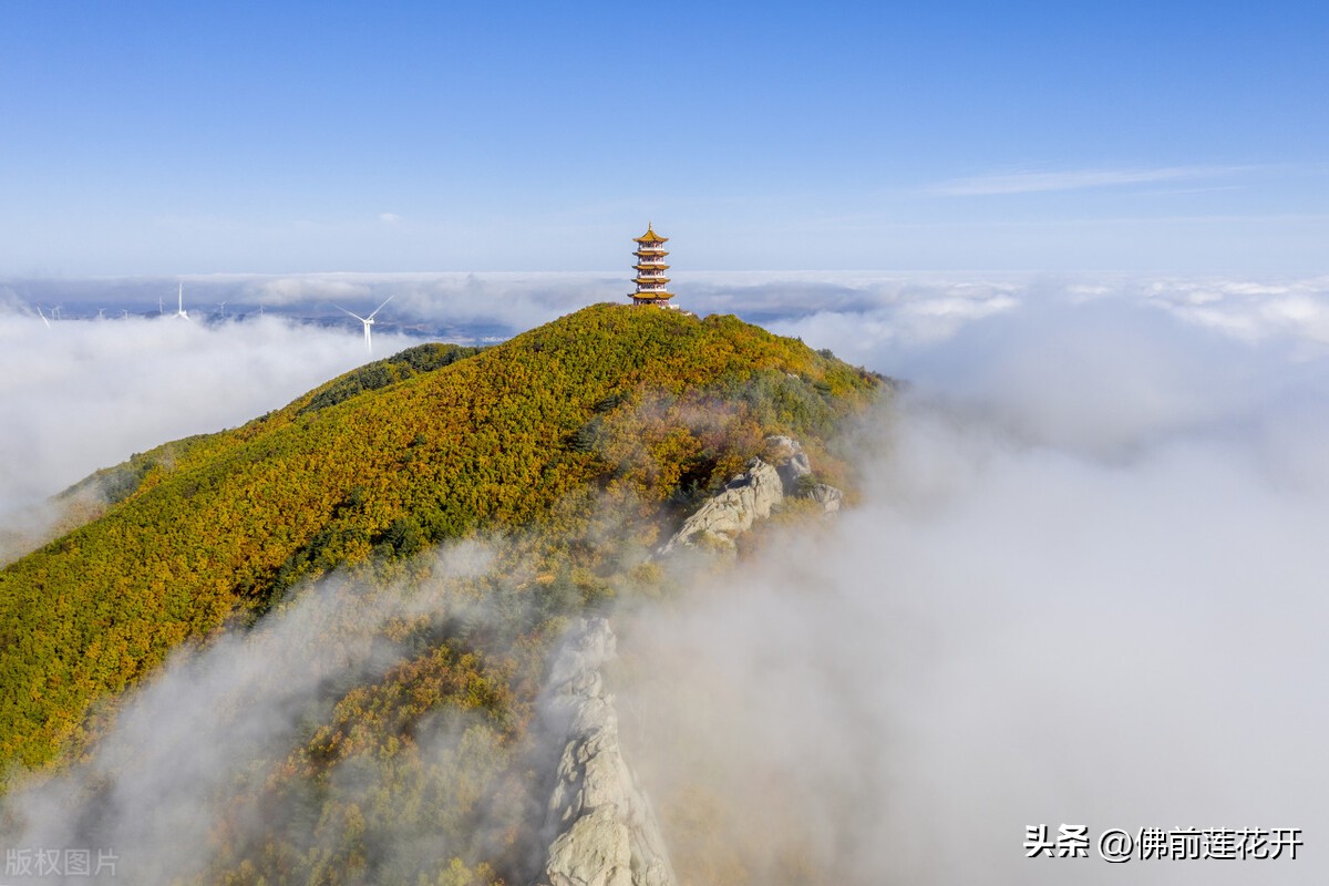 春嫂4集电视剧,春嫂第8集