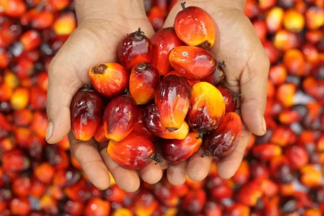 化工如何实现减碳,减碳环保举措都有什么