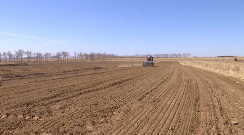 【旗县动态】奈曼旗、开鲁县、库伦旗