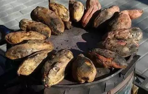 十个藏在农村不起眼的项目,只要好好做,同样也能致富