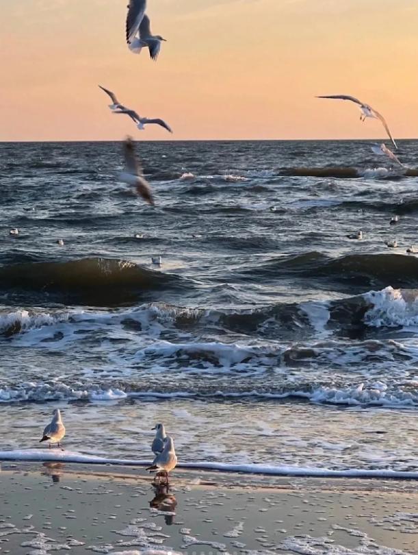 很会赚钱的人是怎样的,盘点那些可以真正赚钱的人