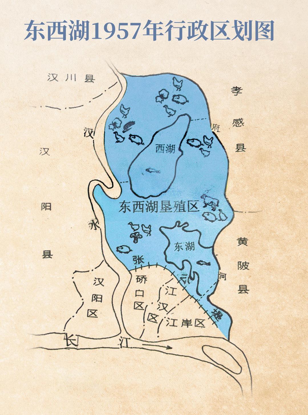 最新东西湖,武汉人眼中的东西湖