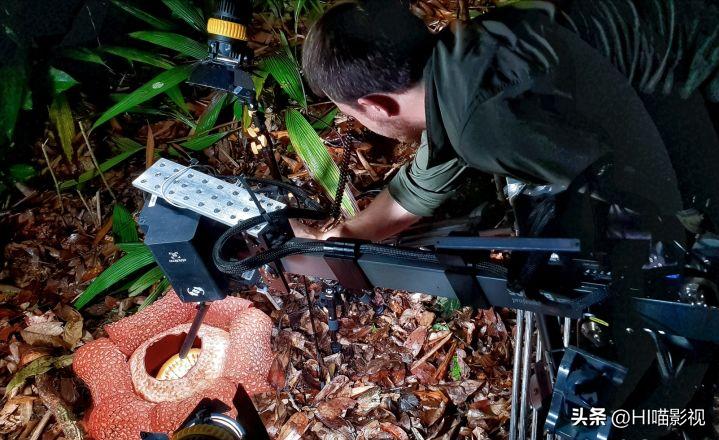 提高认知增长知识的高分纪录片,孩子必看的5部纪录片