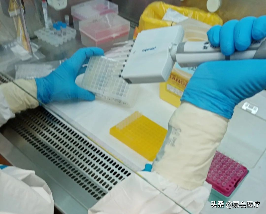 嘉会医疗体检,嘉会医疗体检中心