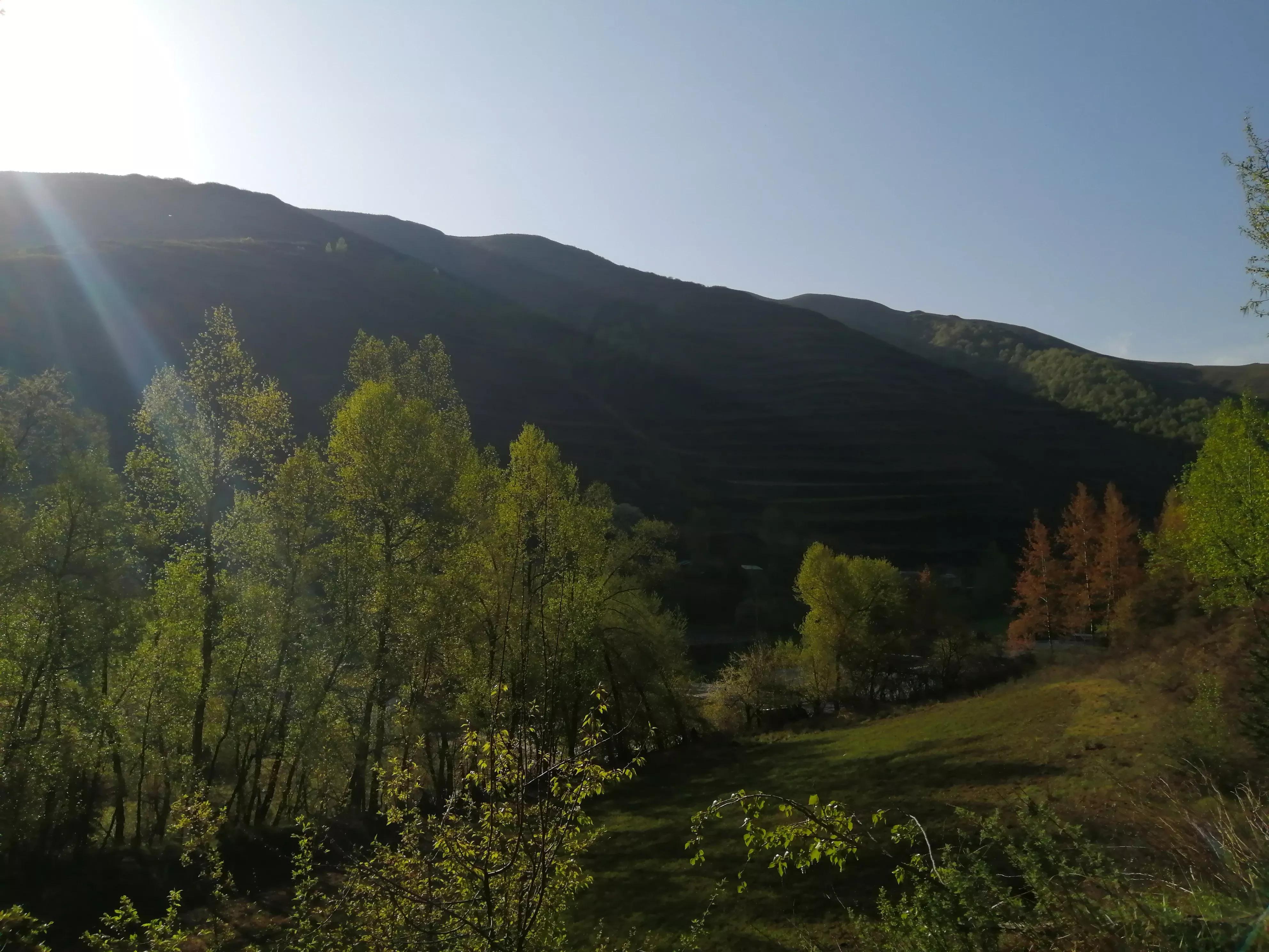 《柳梢青·谴诗坛乱象（《词林正韵》正体》注解⑵