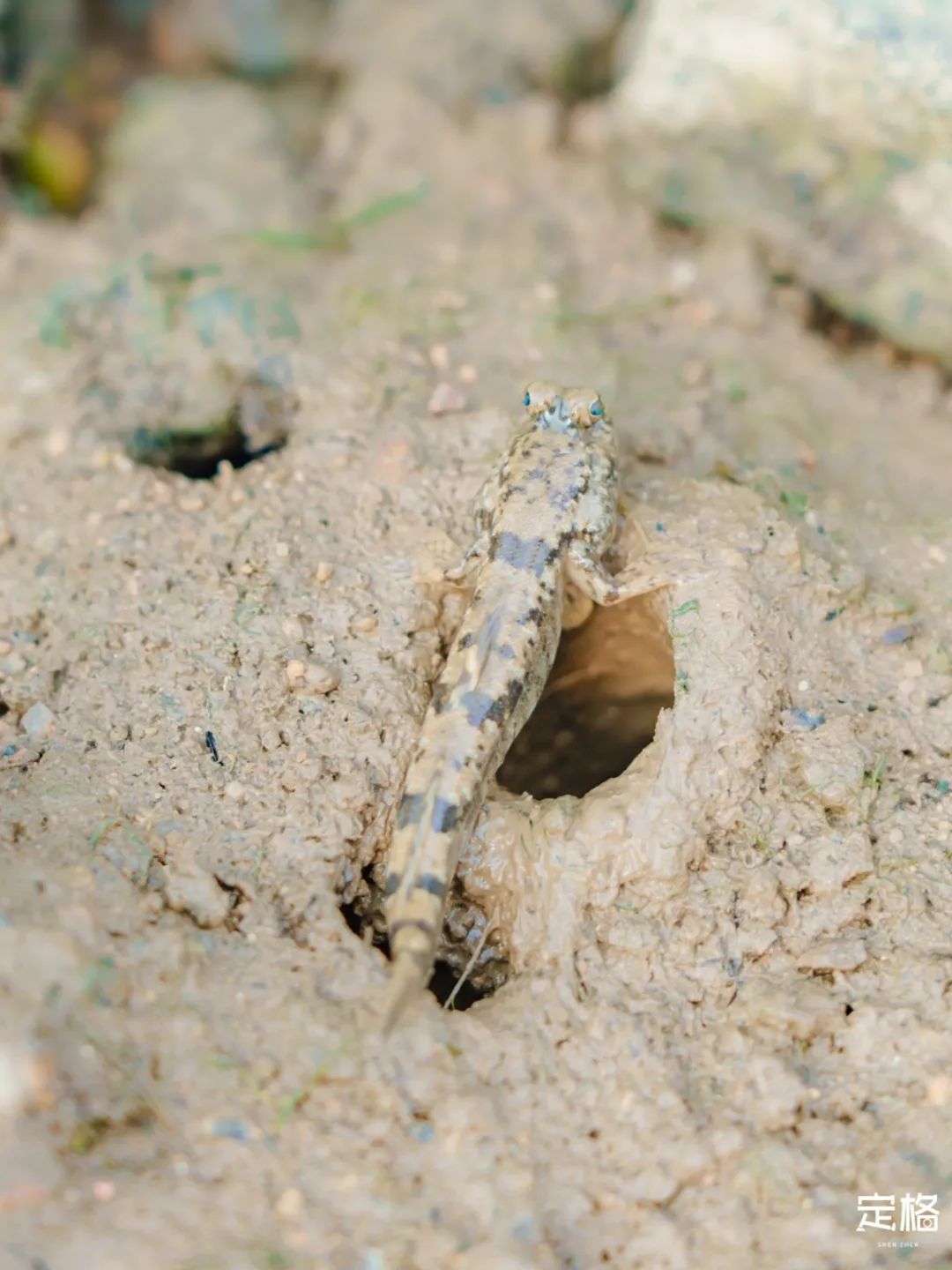 深圳海边哪里好玩20个海滩最美,深圳好玩的海边沙滩推荐免费