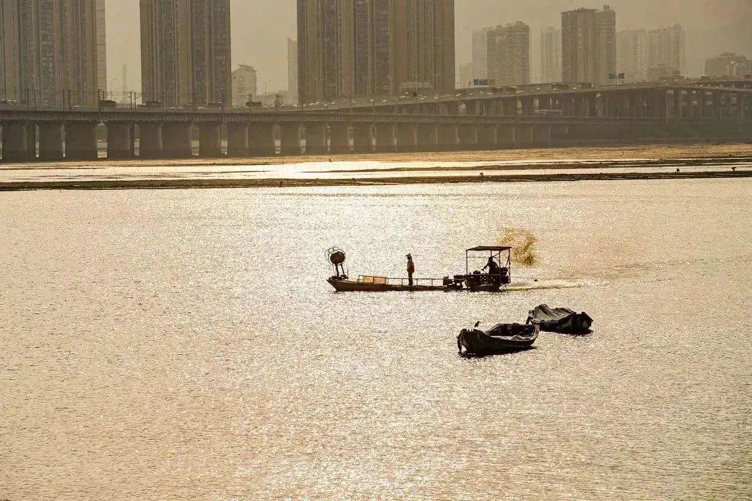 好夜色！好凉爽！夜景散步宝藏地→