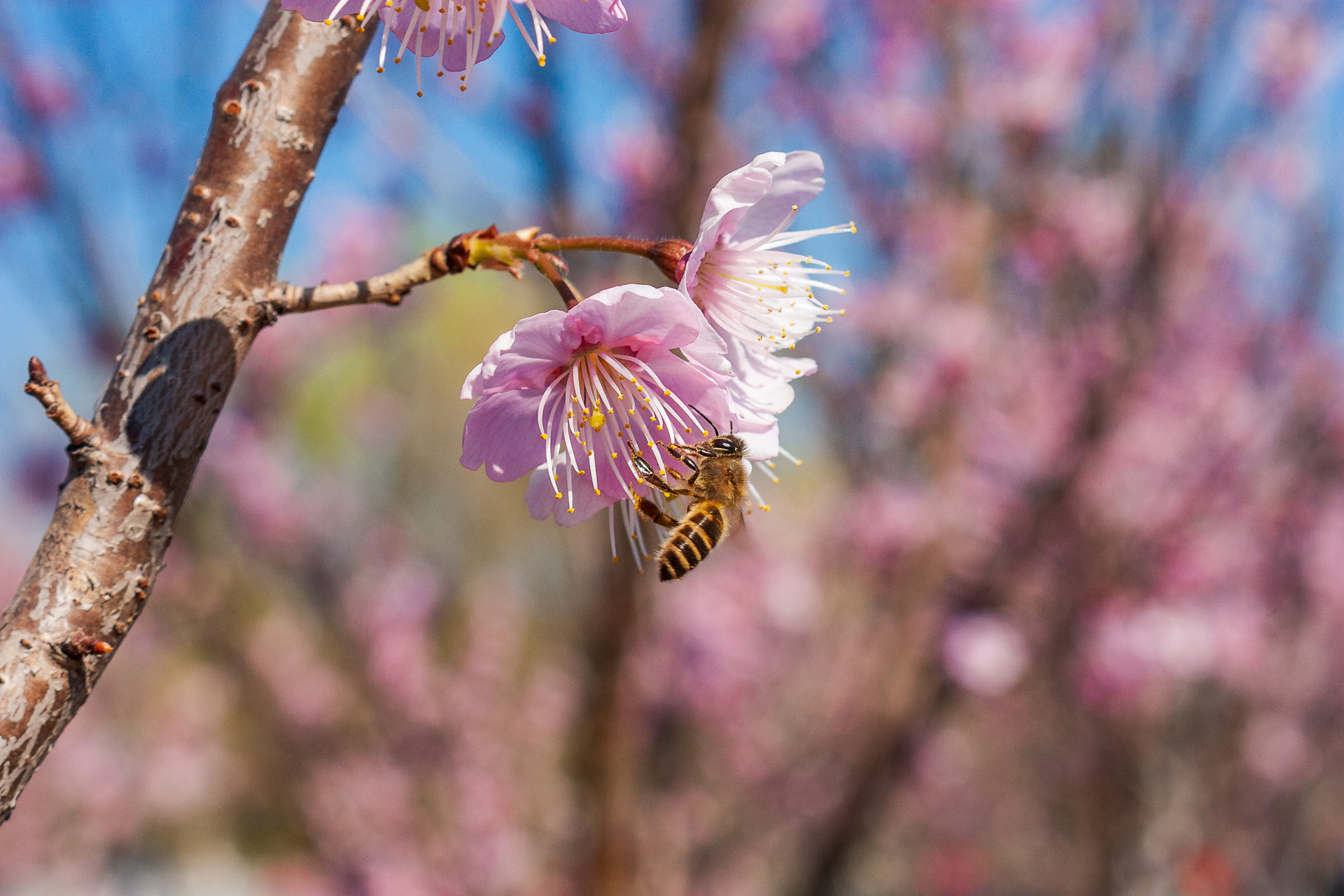 女人长得好不好看怎么才能看出来,女生长得不好看怎么才可以变美