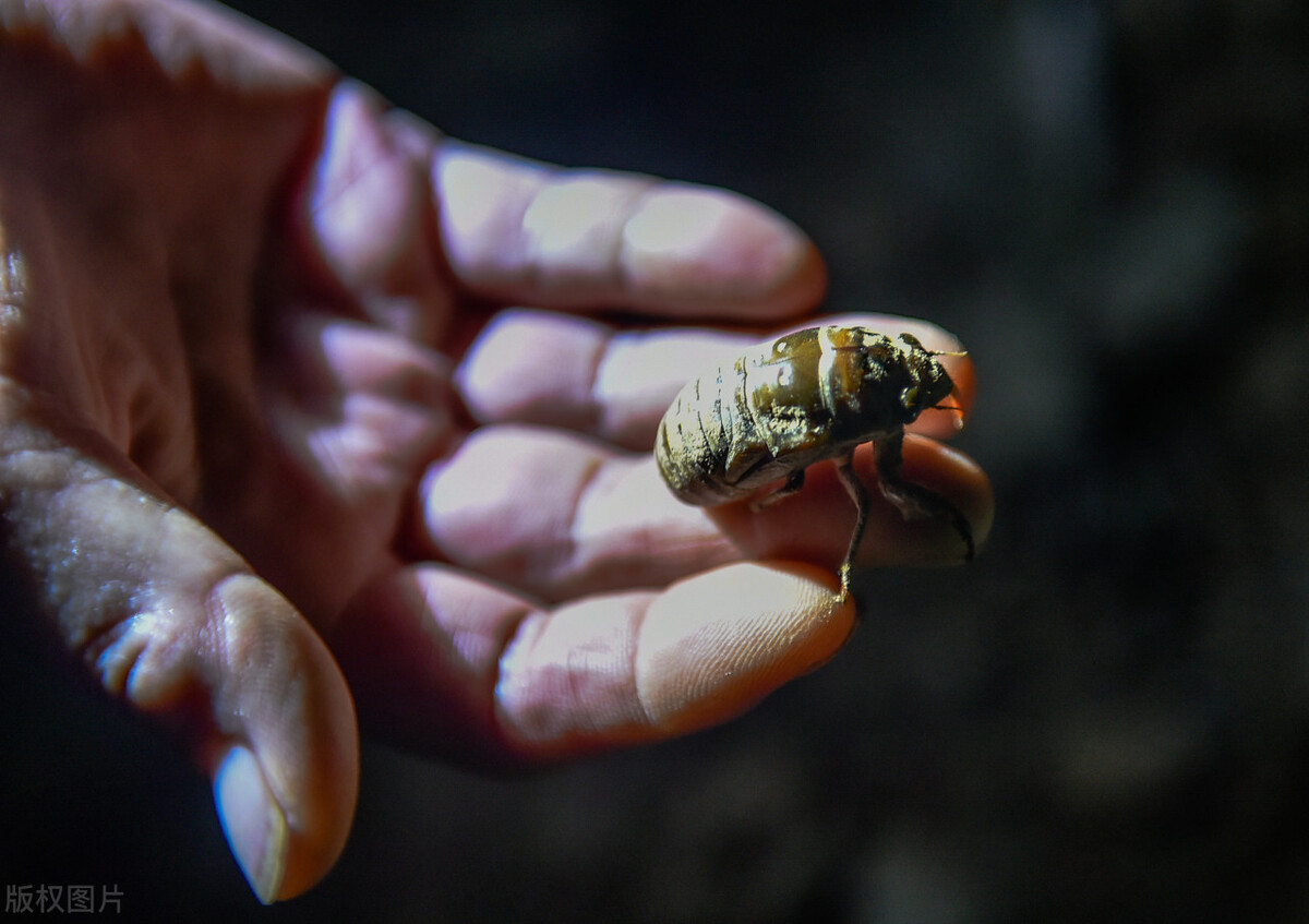 记忆中的岁月,把当兵时美好的日子留在记忆里