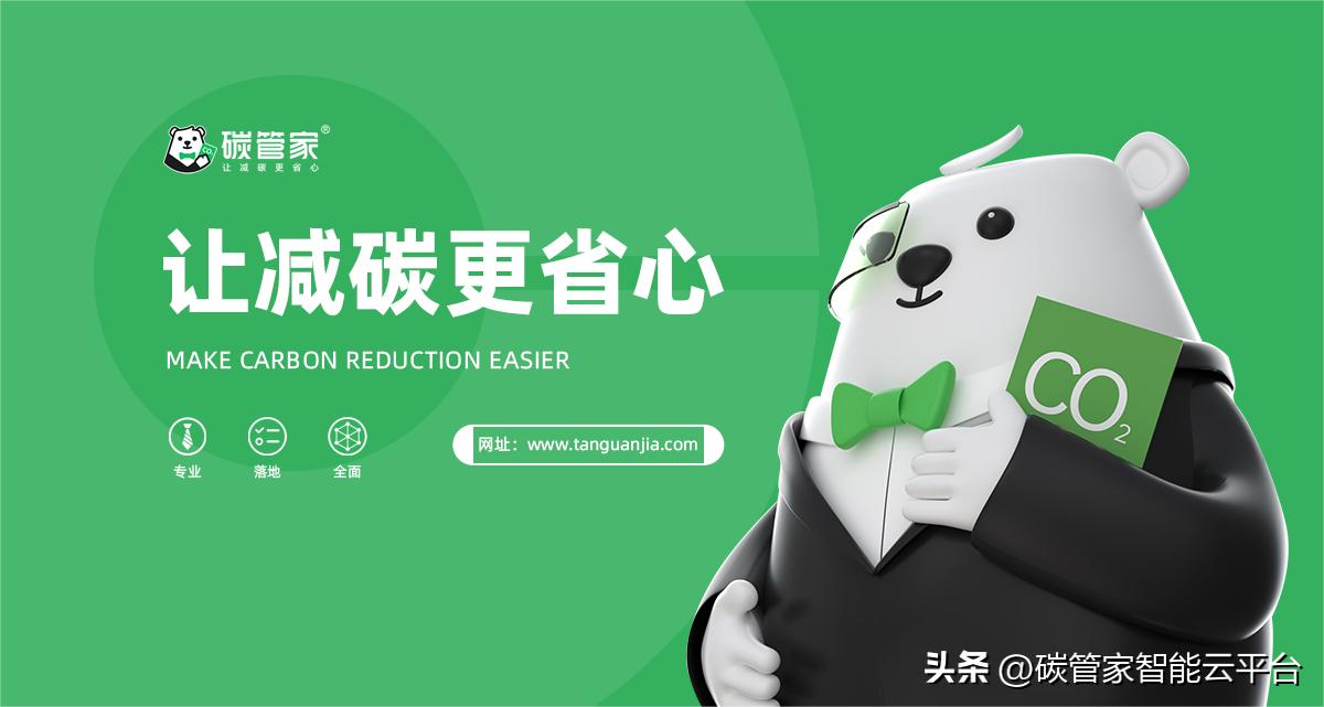 绿证和ccer项目冲突吗,绿证ccer是什么意思