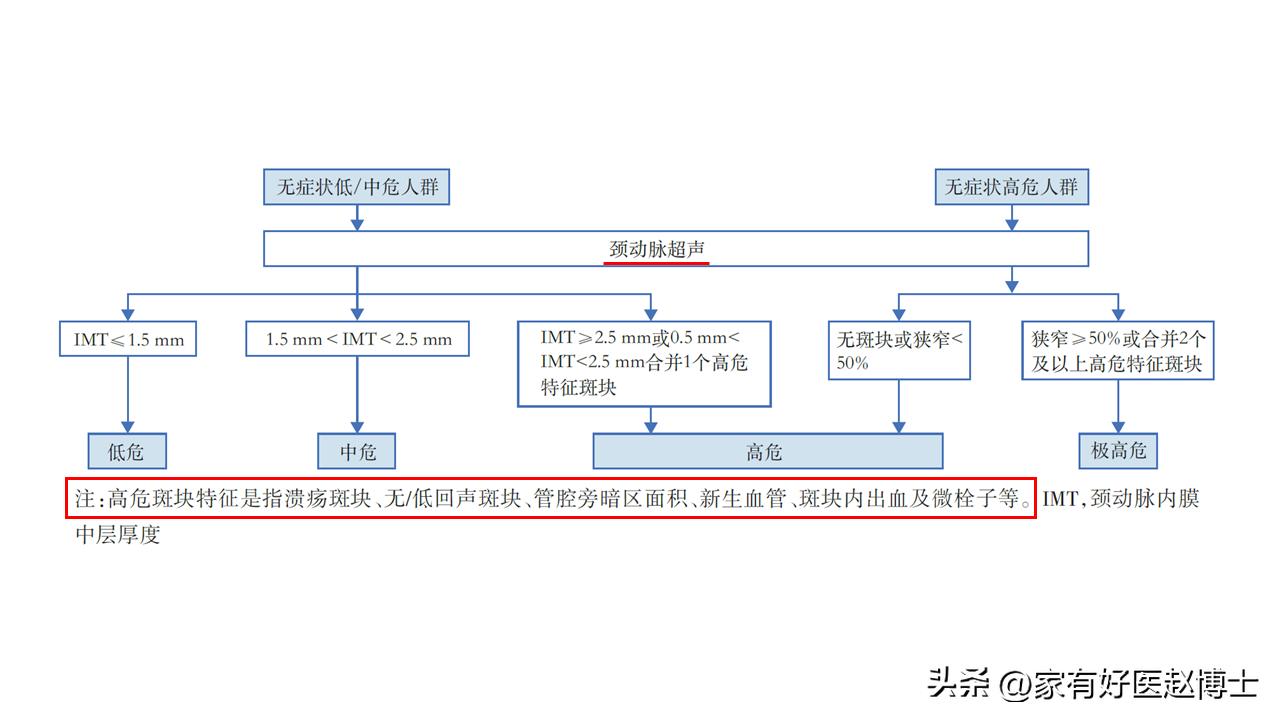 超声检查到的斑块多大才危险,超声检查颈动脉完全闭塞准吗