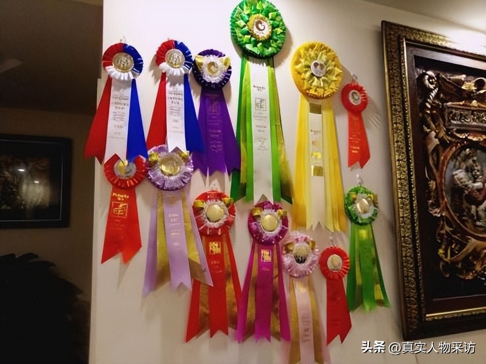 我，80后上海人，靠养猫一个月赚好几万，如今移民希腊，财务自由