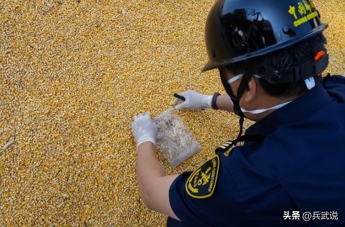 中国已停止进口美国玉米了吗,美国70万吨玉米订单被取消了吗