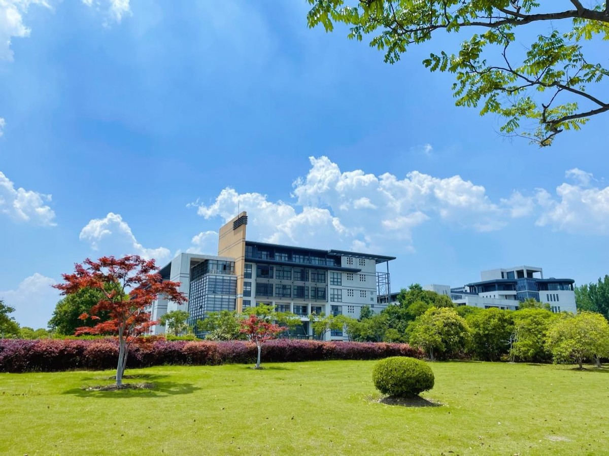 填报志愿专业选哪个比较好就业,志愿填报哪些专业的就业前景好