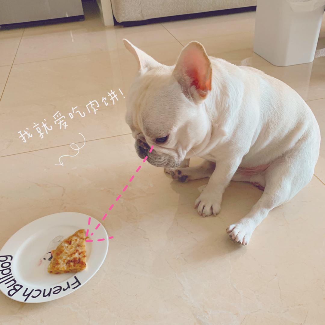 30斤法斗一天吃多少狗粮,法斗吃什么牌子狗粮好