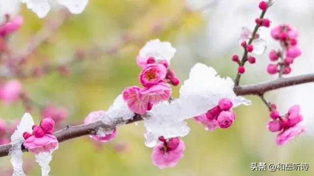 苏东坡的春夏秋冬诗句,春夏秋冬苏东坡