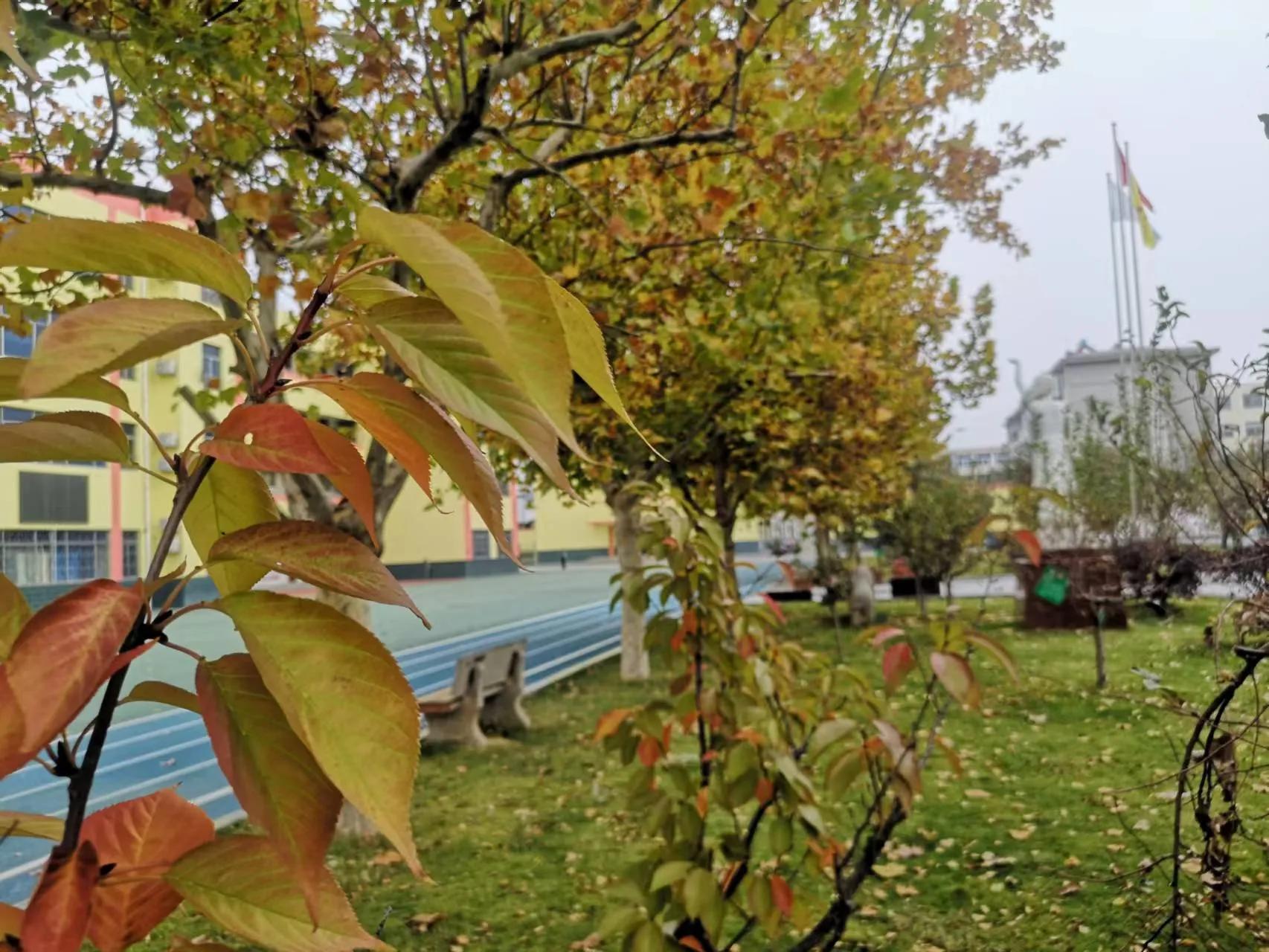 儿子十八岁生日祝语诗句,儿子十八周岁生日祝福