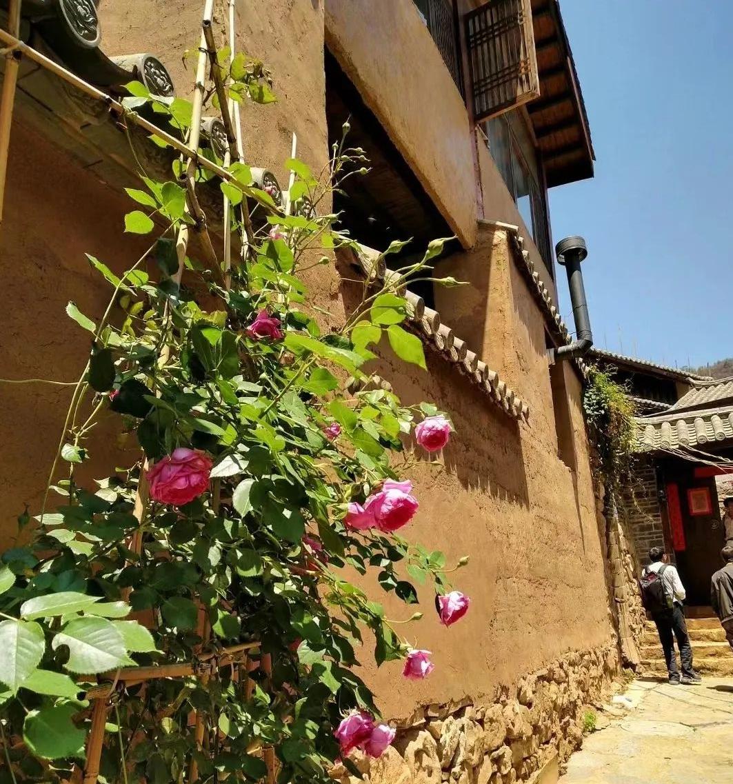 走过知青企业家——高层清洗第一人、知青当上傣族村长