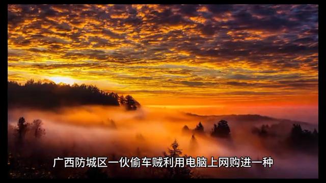 致命搜索漫画,致命搜索小说全本