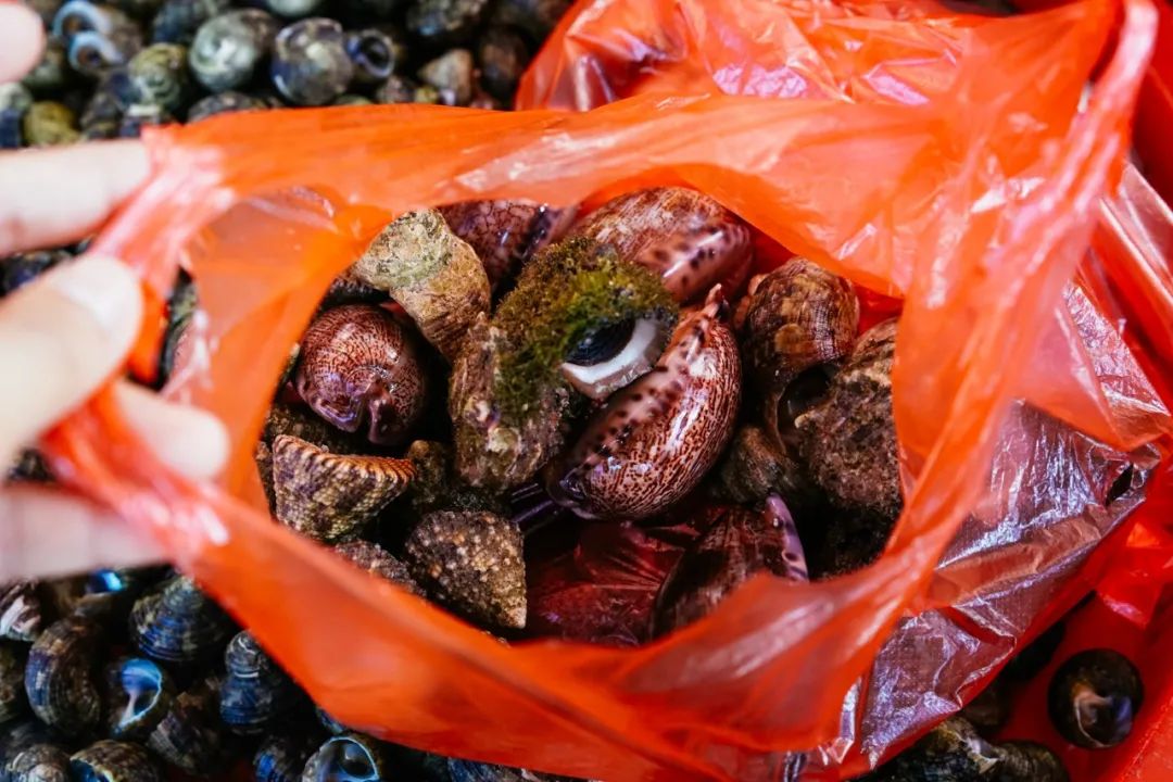 早餐烤乳猪，海鲜论盆卖？这座海岛小城舒坦得有点离谱了