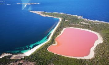 疫情期的间隔年:985毕业,我在澳洲做按摩师2年攒60万