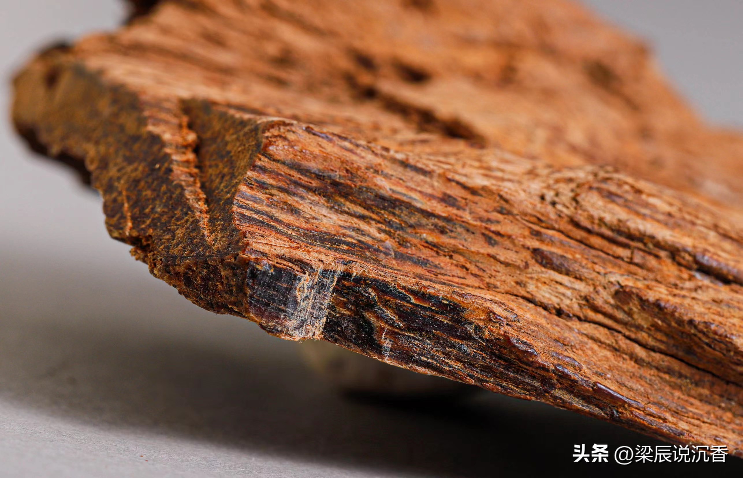 如何正确品沉香,沉香结缘的秘密