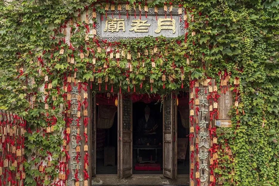 乌镇游玩攻略必去的地方,乌镇里免费的宝藏景点